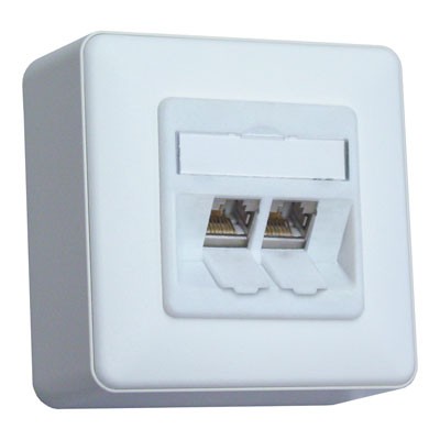 BTR Dose AP/2 perlweiss E-DAT Modul 2 Ports, Kat.6 (Class E)